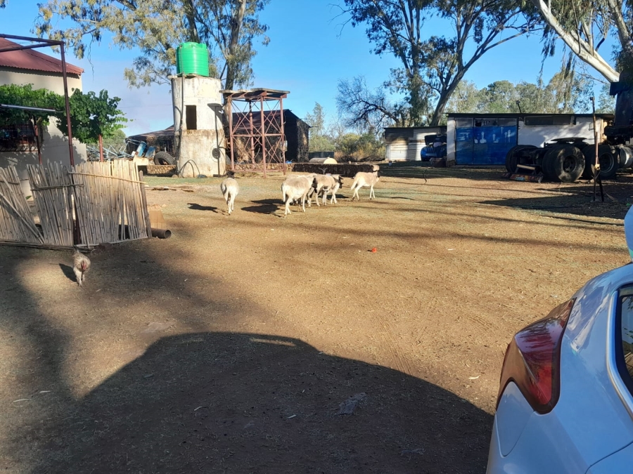 4 Bedroom Property for Sale in Zeerust North West
